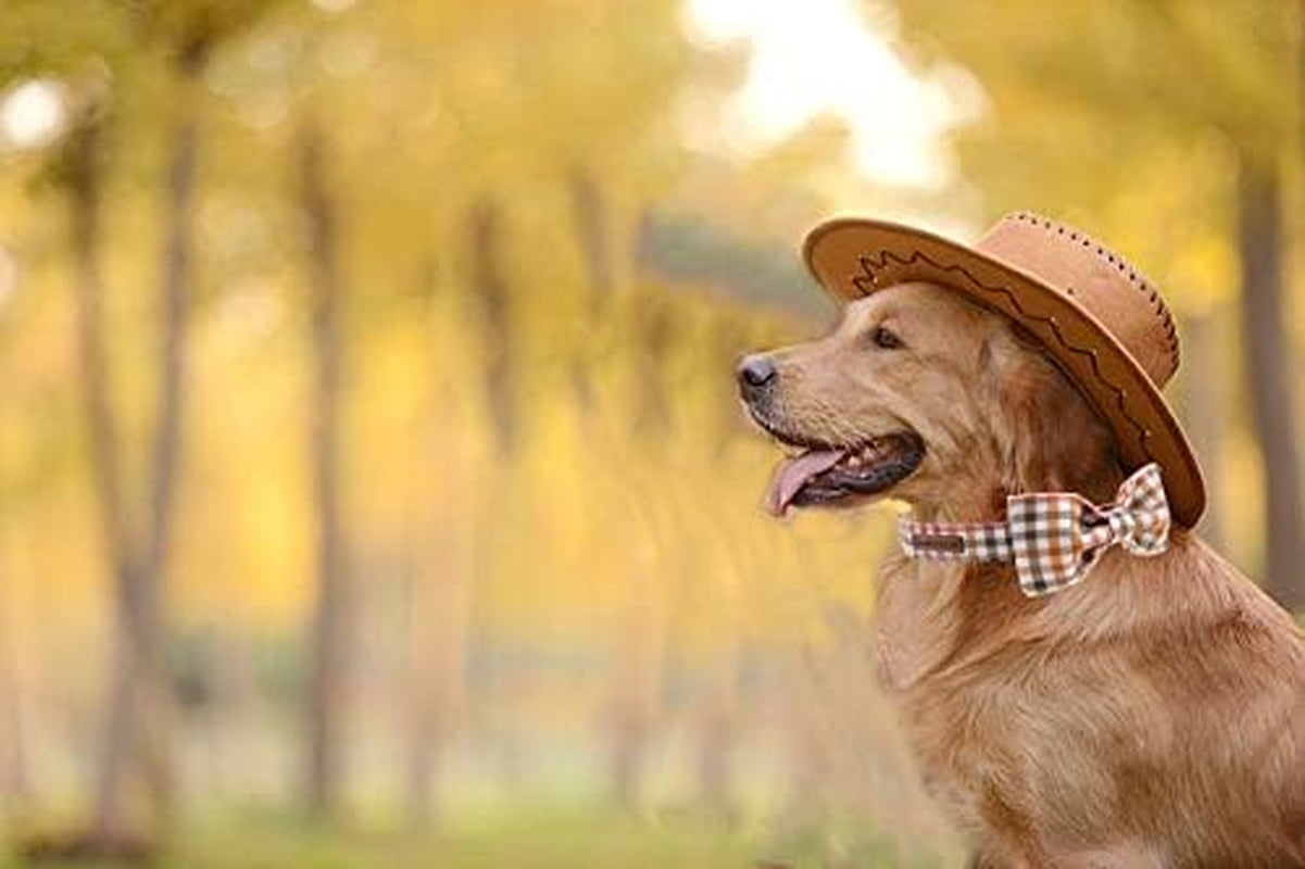 Dog Collar with Bow, Comfotable Dog Bowtie, Bowtie Dog Collar Adjustable Dog Collars for Small Medium Large Dogs