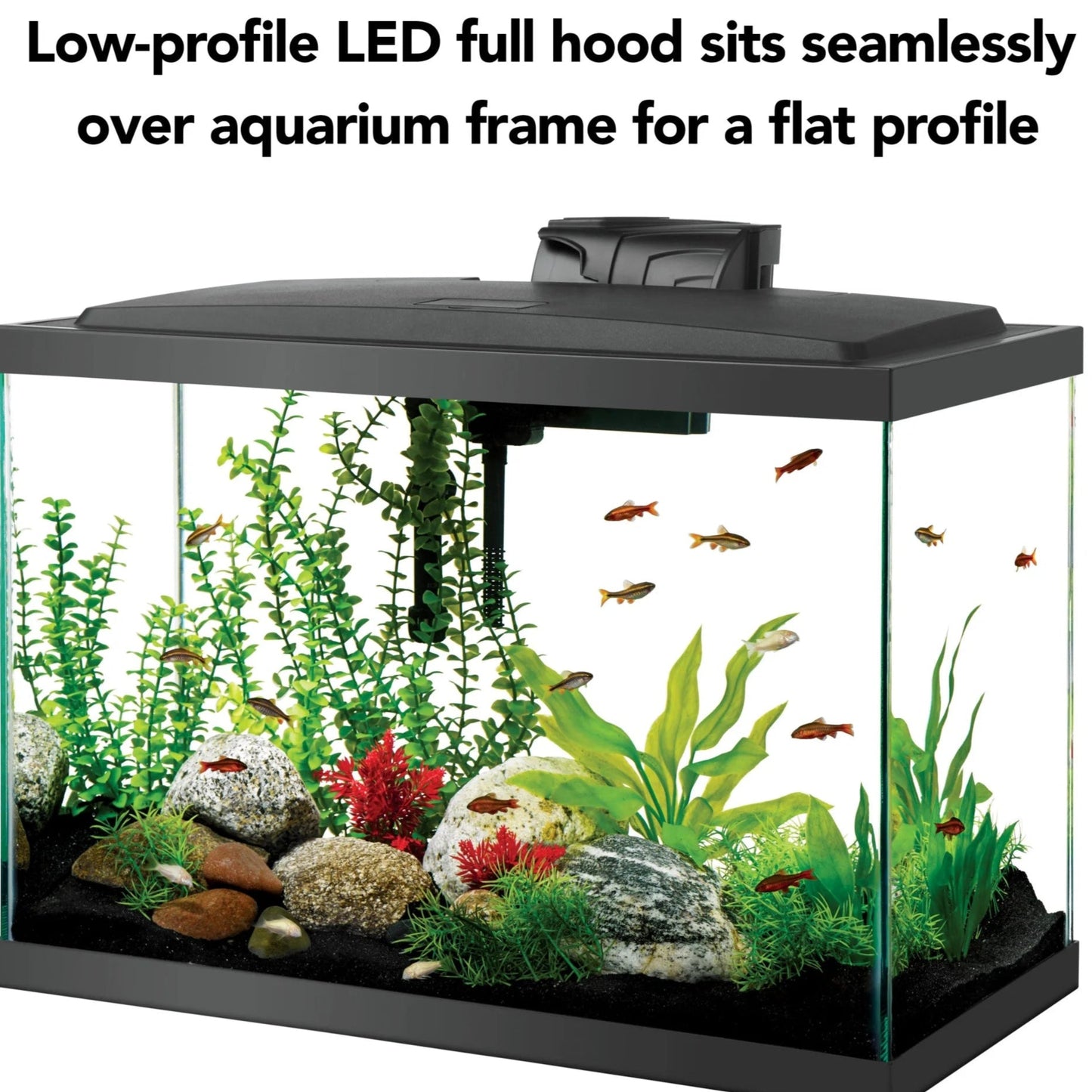 Aquarium Starter Kit with LED Lighting 20 High