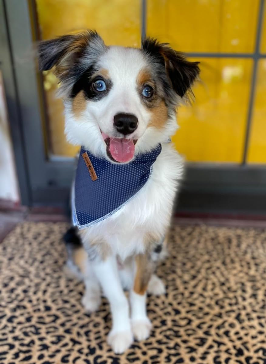 Dog Bandana for Small Medium Large Dogs, Cat Kerchief Blue DOIT, Triangle Bibs Scarf for Girl or Boy