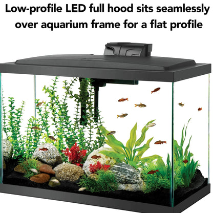 Aquarium Starter Kit with LED Lighting 20 High