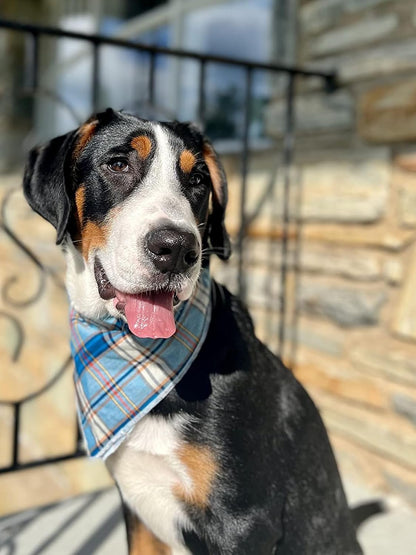 Dog Bandana for Small Medium Large Dogs, Cat Dog Kerchief Blue Plaid, Dog Triangle Bibs Scarf for Girl or Boy