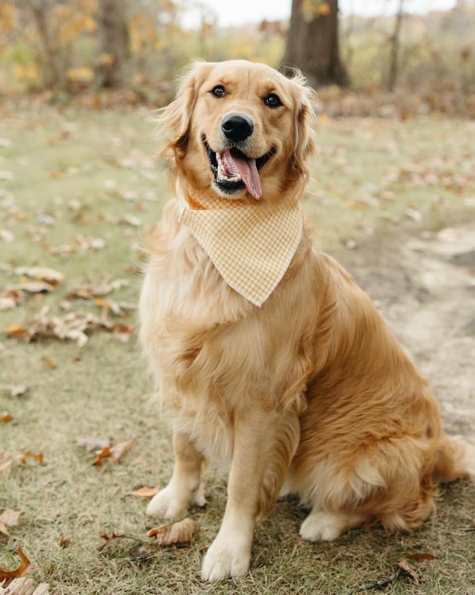 Dog Bandana for Small Medium Large Dogs, Cat Dogs Kerchief Triangle Bibs Scarf for Girl or Boy