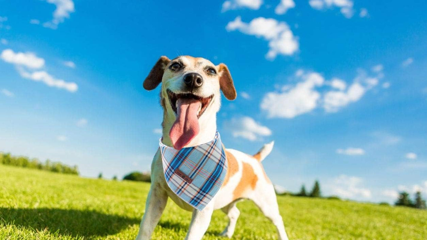 Dog Bandana for Small Medium Large Dogs, Cat Dog Kerchief Blue Plaid, Dog Triangle Bibs Scarf for Girl or Boy