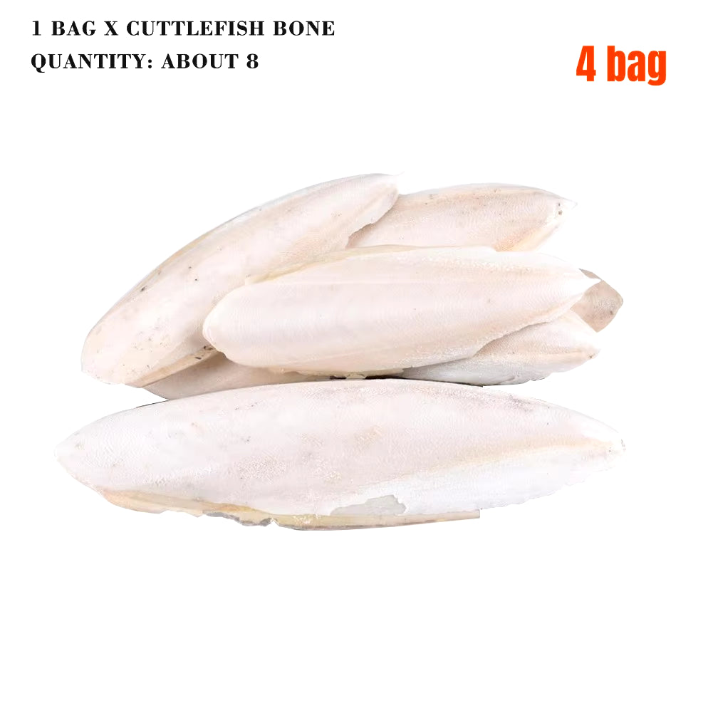 Cuttlefish Bone Natural Cuttlebone Parrot Chew Toys Parrot Calcium Supplements for Bird Cockatiel Parakeet Parrot