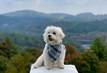 Dog Bandana for Small Medium Large Dogs, Cat Dog Kerchief Blue Plaid, Dog Triangle Bibs Scarf for Girl or Boy