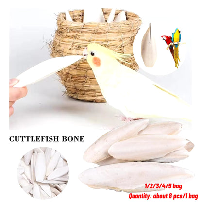 Cuttlefish Bone Natural Cuttlebone Parrot Chew Toys Parrot Calcium Supplements for Bird Cockatiel Parakeet Parrot