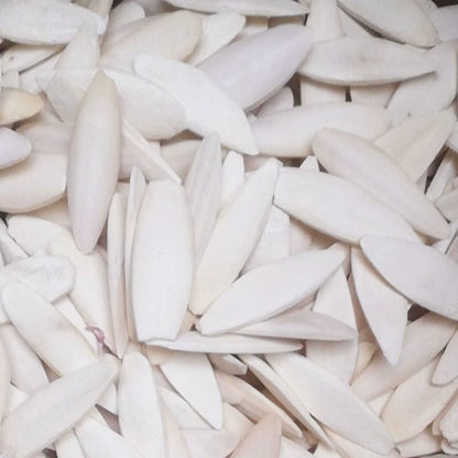 Cuttlefish Bone Natural Cuttlebone Parrot Chew Toys Parrot Calcium Supplements for Bird Cockatiel Parakeet Parrot