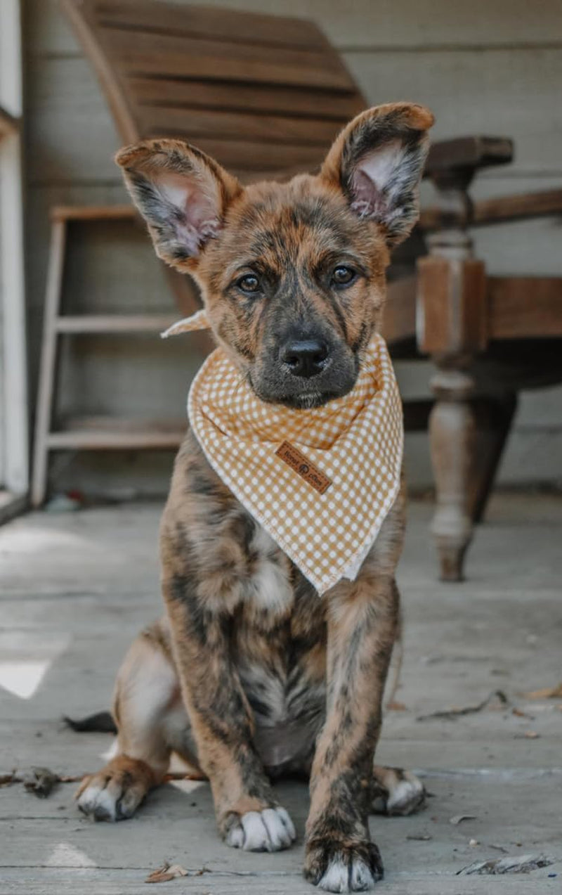 Dog Bandana for Small Medium Large Dogs, Cat Dogs Kerchief Triangle Bibs Scarf for Girl or Boy